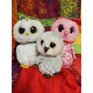 Ty Beanie Boo Owl Family!